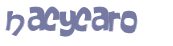 Desafio captcha