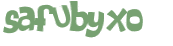 CAPTCHA 挑戰