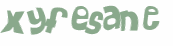 CAPTCHA 挑戰