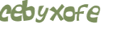 Captcha-Test