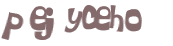 Captcha-Test