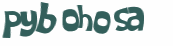 CAPTCHA 挑戰