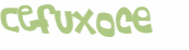 Captcha 챌린지