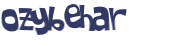 Captcha 챌린지
