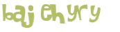 CAPTCHA 挑戰