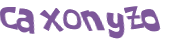 CAPTCHA 挑戰