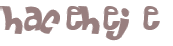 CAPTCHA 挑戰