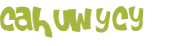CAPTCHA 挑戰
