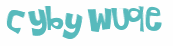 Captcha-Test