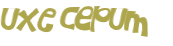 Captcha挑战