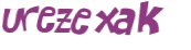 CAPTCHA 挑戰