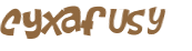 CAPTCHA 挑戰