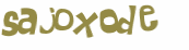 Sfida captcha