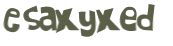 Wyzwanie captcha