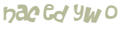 CAPTCHA-haaste