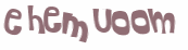 Desafio captcha