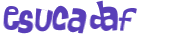 Captcha 챌린지