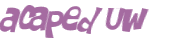 Sfida captcha