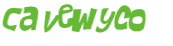 CAPTCHA-haaste