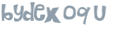 Captcha-Test