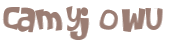 CAPTCHA-haaste