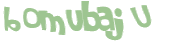 Captcha-Test