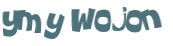 Desafio captcha