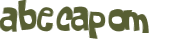 CAPTCHA 挑戰