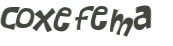 CAPTCHA 挑戰