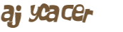 CAPTCHA 挑戰
