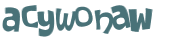 CAPTCHA 挑戰