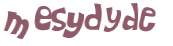 Captcha-Test
