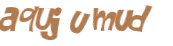 CAPTCHA 挑戰