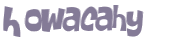 CAPTCHA 挑戰