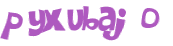 Captcha 챌린지