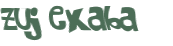 Wyzwanie captcha