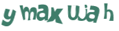 Wyzwanie captcha