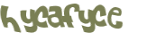 CAPTCHA 挑戰