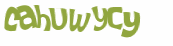 Captcha 챌린지