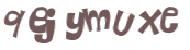 Captcha 챌린지