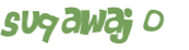 Captcha挑战