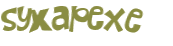 Captcha 챌린지