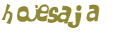 CAPTCHA 挑戰
