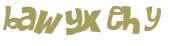 Wyzwanie captcha
