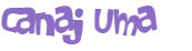 CAPTCHA 挑戰