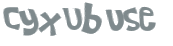 CAPTCHA 挑戰
