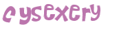 CAPTCHA 挑戰