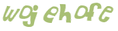 CAPTCHA 挑戰