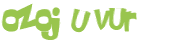 Wyzwanie captcha