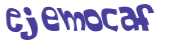 CAPTCHA 挑戰
